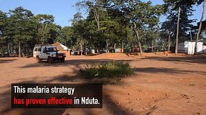 This strategy to tackle malaria has proven effective in Nduta refugee camp. The number of patients have been reduced by 50% thanks to activities to control transmission. ✅ On World Malaria Day, learn how we worked to achieve this: | Doctors Without Borders/Médecins Sans Frontières (MSF)