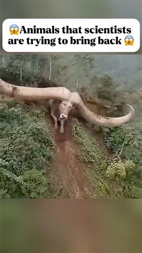 🦣 Extinct Animals That Could Return to Earth 😱