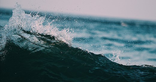 20 inspiring nature words you didn't know you needed