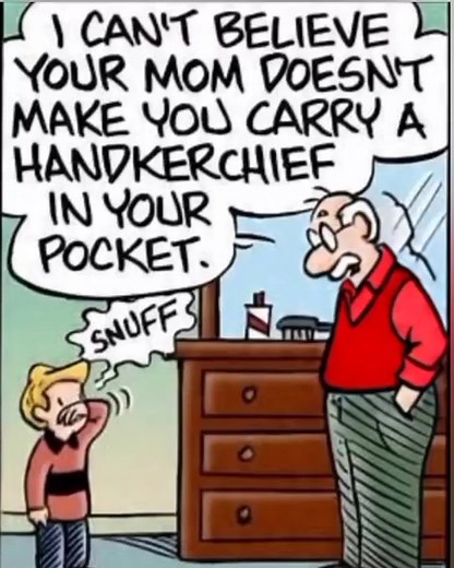 39K views · 208 reactions | The image is a comic strip featuring a boy and his grandfather. The boy is surprised that his mother doesn't make him carry a handkerchief, and the grandfather shares that his mother taught him to always carry one. The grandfather offers the boy a handkerchief from his drawer, but the boy is less than enthusiastic about receiving it. | Earl And Opel Love | Facebook