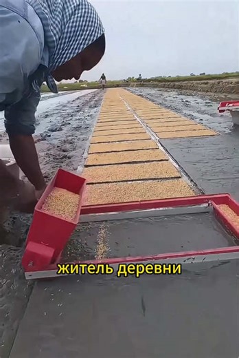 Precise Planting Techniques You Need to Know