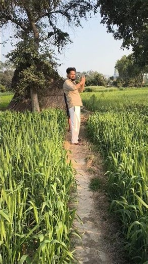 calm nature vibes 😌🍃🌳