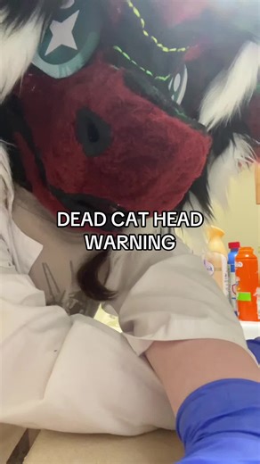 i love here! #fyp #furry #fetus #collection #cats | cat