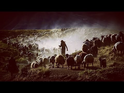 Why were the Shepherds the first to know about the Birth of Jesus?