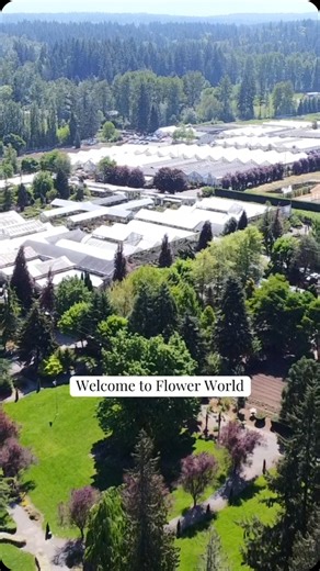 Step into a world of flowers, plants, and so much more! 🌿🌸 Visit Flower World and explore all we have to offer—then make every shopping trip even better by signing up for our FREE e-Club membership at flowerworldusa.com! Members enjoy 10% off every time they shop✨ Sign up today and start growing with us! #FlowerWorld #PlantShop #PlantLovers #PlantNursery #PNWgarden | Flower World