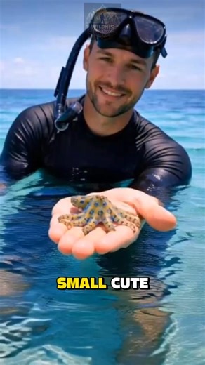 This Cute Animal Can Kill You in Minutes