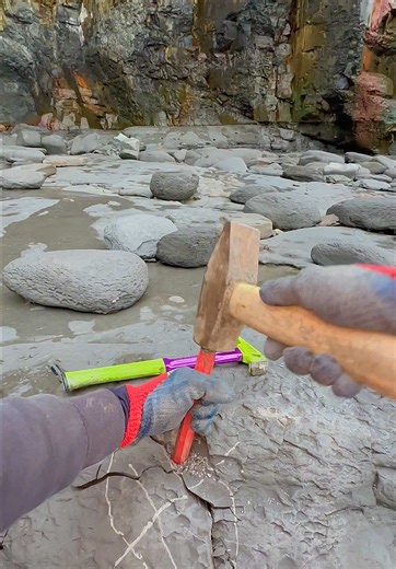 Discovering Rare Jurassic Fossils on a Remote Beach