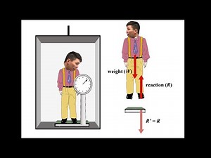 Elevator Problem (Classic!) - IB Physics A.2 (Part 7)