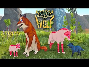 Wolf Simulator Wild Gameplay
