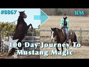 RM’s 100 Day Journey To Mustang Magic | 2023 Mustang Magic Trainers Challenge