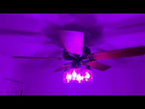 Hunter Original ceiling fan with purple light bulbs