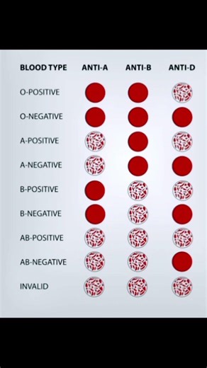 Blood group determination/Blood group test procedure 🩸🩸🩸 #education