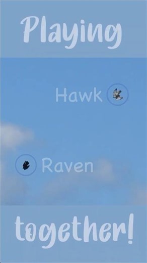 Hawk & Raven are Friends! #nature #birds #raptor #ravens #appalachiantrail