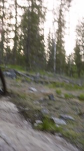 Ready to cut loose on the trail? With longer travel and updated geometry, the Fuel EX is ready ride it, rip it, cut loose and do it all again. Rock gobbling, root roosting, tech taming, booter boosting, no matter if your cup of tea is cherry picking lines through root lattices or barreling into banked berms, the Fuel EX is ready to take it on. Details at the link below. | Trek Bicycle