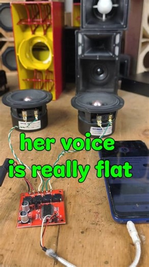 seems to be suitable for a monitor sound system 😁 | miniatur sound system