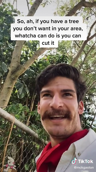 3-Point Tree Cut Technique for Pruning | Tree Planting Guide