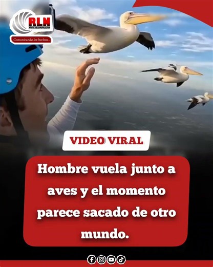 Hombre vuela junto a aves y el momento parece sacado de otro mundo