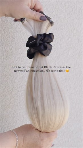 Shop | Invisible Bead Extensions® on Instagram: "Pantone says 2026 is all about Blank Canvas… and honestly, same. Our Blank Canvas weft is the ultimate starting point - soft, neutral, and ready to become whatever the moment calls for. Tone it. Blend it. Customize it. Because the best looks don’t start with rules - they start with possibility. 🎨🖤 shopIBE® Blank Canvas"