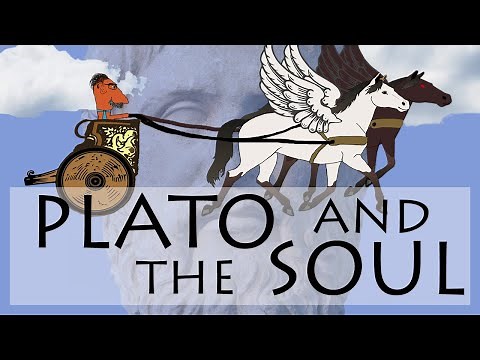 PLATO and the SOUL