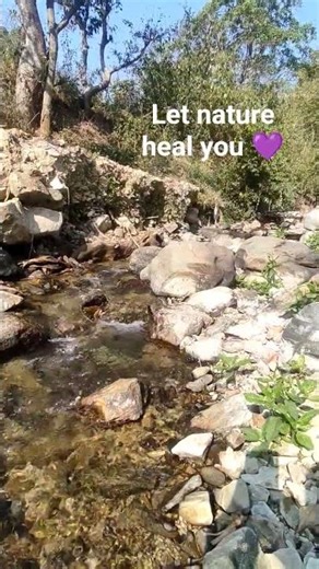 Healing power of nature 🌳🌲#uttrakhandvillage #pahadi #nature #indianculture