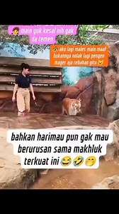 581K views · 13K reactions | Harimau aja ampek mundurmalas klw berurusan ama makhluk satu ini藍藍. #reels #jangkauanluasfbprofypsemuaorang | Novi Suciati | Facebook