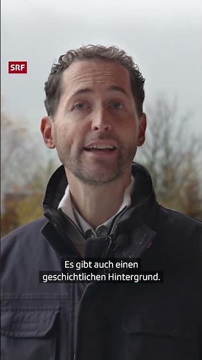 Der Wolf: Zu gefährlich für ein Leben neben dem Menschen? | #Shorts | SRF Kids News | Kindervideos