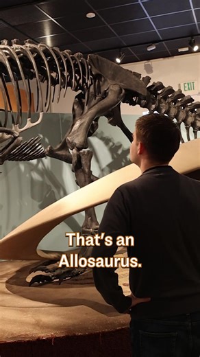 Explore Dinosaurs at BYU's Paleontology Museum