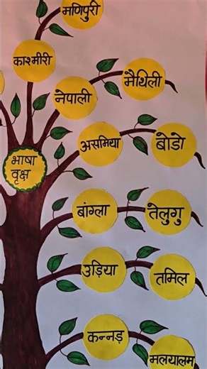 Language Tree 🌳 22 Indian Languages ​​TLM