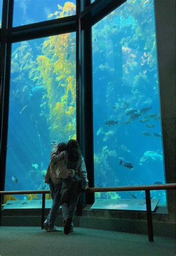Perfect Aquarium Date Ideas for Couples
