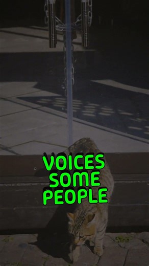 Do Cats Really Read Our Minds Did you know that about 13 of cat owners believe their...