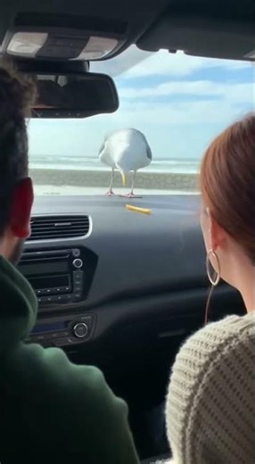 #banku Unlock Your Savings Potential #banku #finance #money