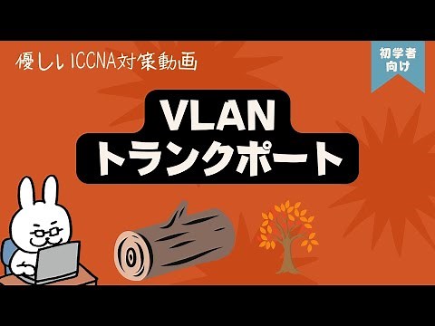 English subtitles[#49 CCNA ] [Chapter 4 VLAN] VLAN trunk port