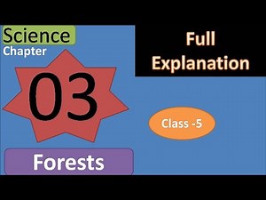 DAV class 5 science chapter 3 Forests