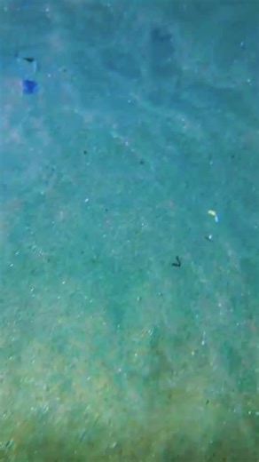 Exploring Deep Sea Fishing Wonders