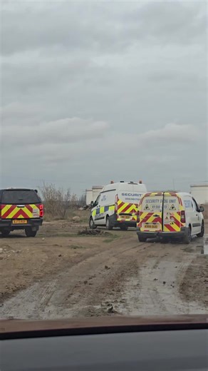 Overcoming Content Blocks with Funny Dog Clips