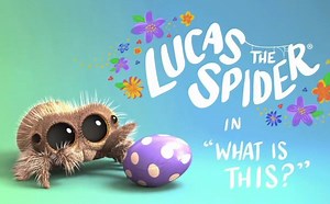 【48集全】世界上最可爱的蜘蛛《小蜘蛛卢卡斯》Lucas the Spider 治愈系动画
