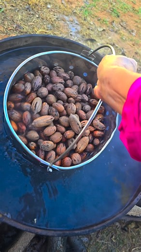 From picking the pecans to boil them and crack them, then shelling is takes awhile but baking roasted/candied pecans is worth it. #candiedpecans #Pecans #hardworkpaysoff | Cessna Lequigan Bunton