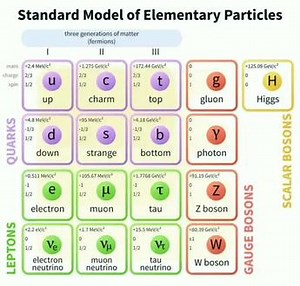 标准模型 把夸克模型理论和量子色动力学结合在一起，就形成了标准模型理论。标准模型理论（Standard Model S.M.）隶属量子场论范畴，是一套描述强相互作用力，弱相互作用力和电磁力的理论，标准模型内包含62种已知粒子包括构成物质的费米子（费米子为拥有半奇数自旋并不遵守泡利不相容原理的粒子）和传递相互作用力的波色子（玻色子则拥有整数自旋而并不遵守泡利不相容原理）标准模型所包含
