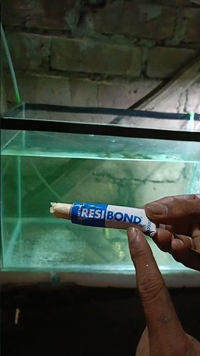 How To Fix An Aquarium Leak? #shorts #fish #aquarium #leak #youtubeshorts