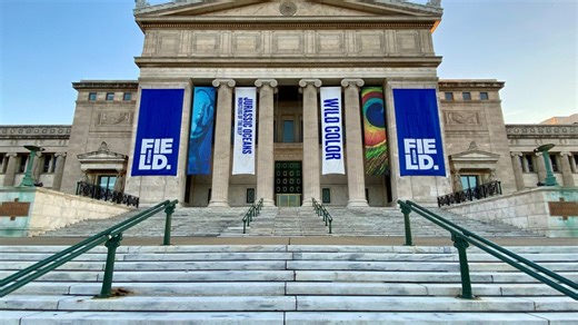 6 Chicago museums to offer free days on Juneteenth