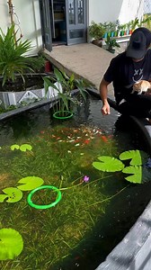 Huỳnh Linh on Reels