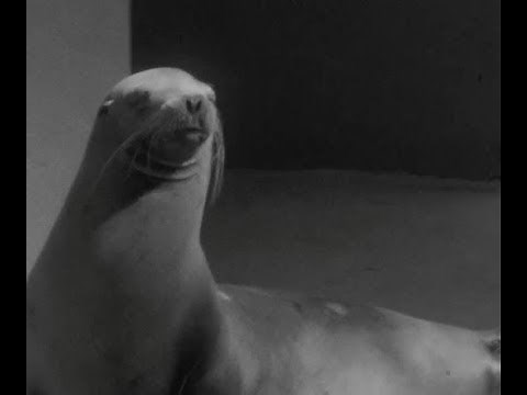 CFPL-TV, Footage of Storybook Gardens and Slippery the Seal (ca. 1957-1958)