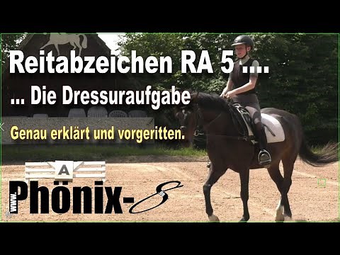 Das Reitabzeichen RA5 - Die Dressurprüfung - Auf was es ankommt und worauf Du achten kannst.