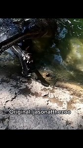 If “these edibles ain’t 💩” was an animal #learnontiktok#themoreyouknow#nature#zoo | Mndiaye