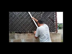 Pullerbear Pro XL Pulls Tree That Cracked Wall in Hawaii