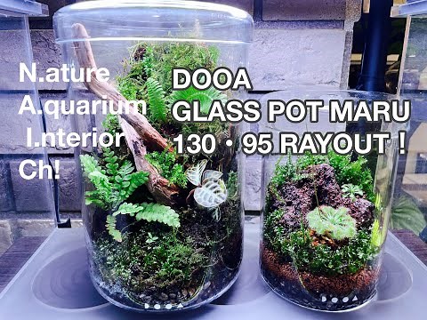 DOOA GLASS POT MARU 130・95 LAYOUT！