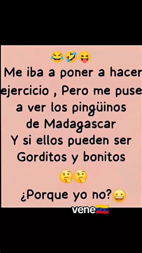 Pingüinos Bonitos y Gorditos: Humor y Memes