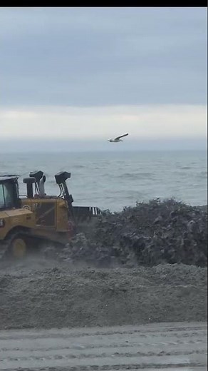 Watch as sand is pumped onto the shore in North Myrtle Beach, SC