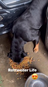 If you can do this, then get rid of em!! | Candy Red LLC