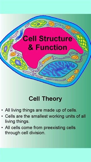 cell structure and function, cell division #class 6 biology Chapter 3 The cell #notes #cellbiology